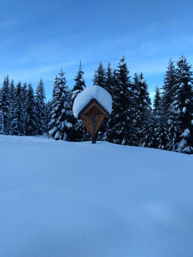 Apartment Bergruhe Sankt Ruprecht ob Murau